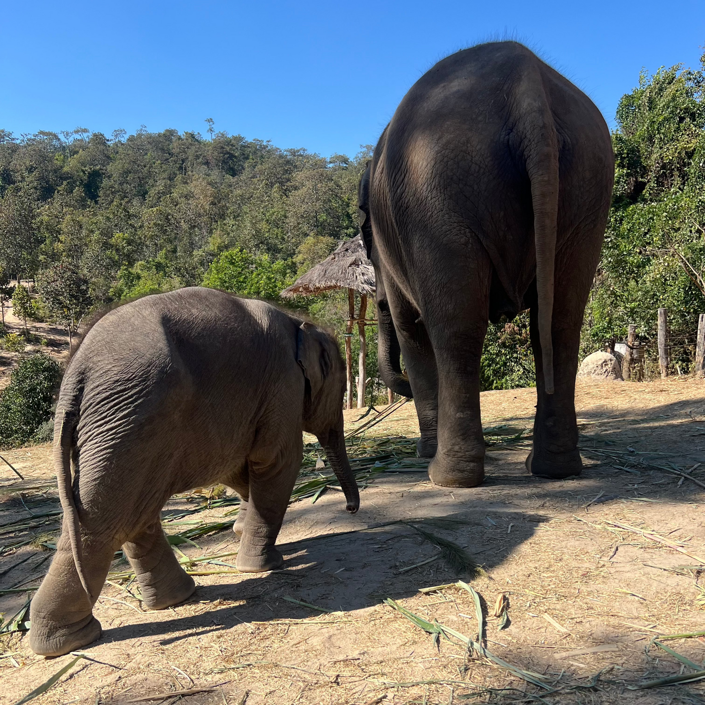 Thailand Itinerary